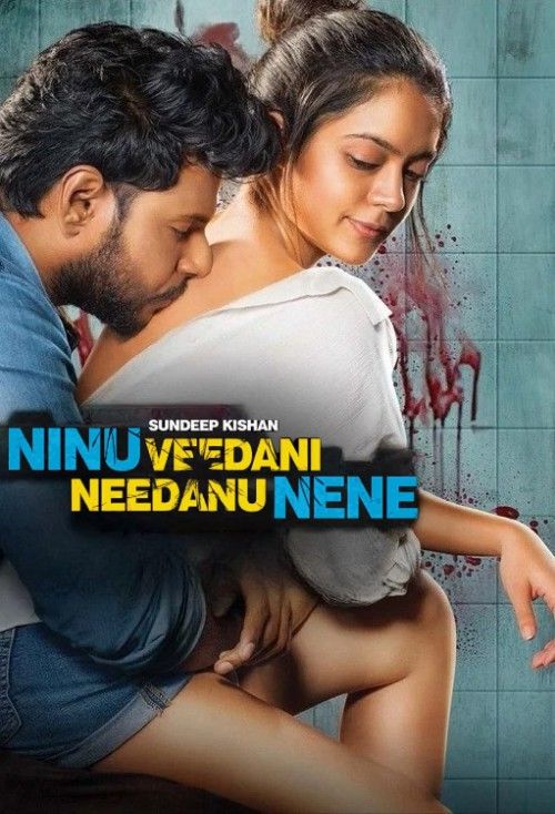 Ninnu Veedani Needanu Nene (2019) Hindi Dubbed Movie download full movie