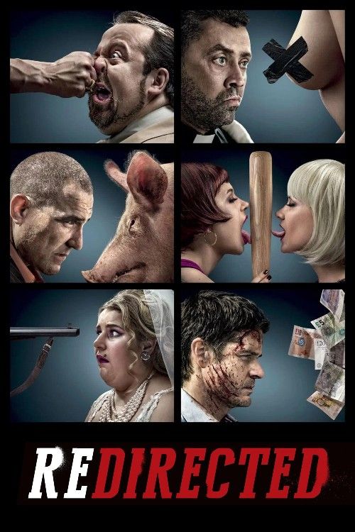 Redirected (2014) Hindi Dubbed Movie download full movie