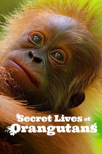 Secret Lives of Orangutans (2024) Hindi Dubbed Movie download full movie