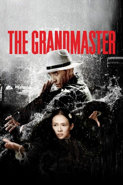 The Grandmaster (2013) Hindi Dubbed Movie download full movie